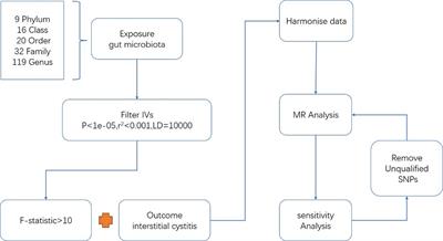 Causal effects of gut microbiota on risk of interstitial cystitis: a two-sample Mendelian randomization study